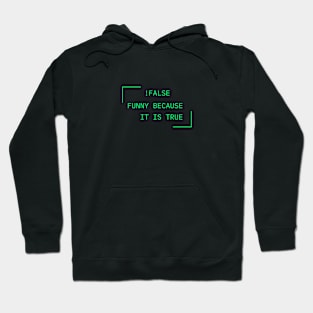 Programmer humor Hoodie